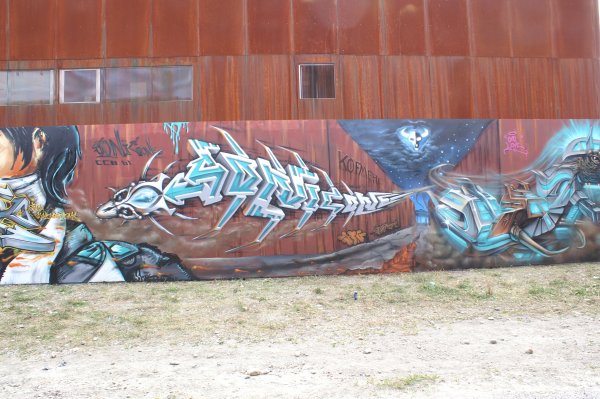 Spray n Rap 2014 (Solothurn)