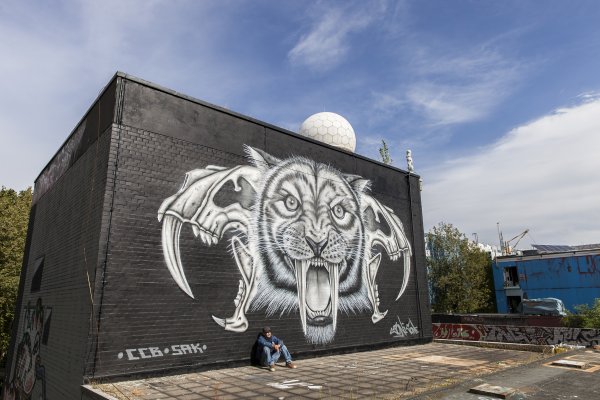 Stilbruch Teufelsberg 2017 Berlin (D)